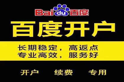 百度SEM推广成功案例，揭秘电商行业的增长秘诀